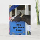 Search for upsetting Horse