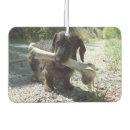 Search for dachshund car air fresheners Puppy