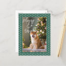 Search for dog mom christmas cards For pets
