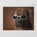 Search for sadness photography Dogs