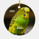 Search for christmas budgie Animal
