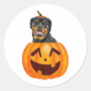 Search for rottweil stickers Rottie