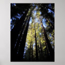 Search for humboldt posters California