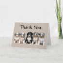 Search for australian shepherd cards Dogs