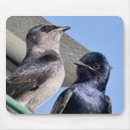 Search for birdwatcher electronics Wildlife