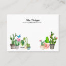 Search for cacti Shower