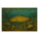 Search for trout posters Wildlife