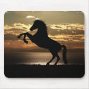 Search for colt electronics Stallion