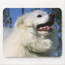 Search for eskimo mousepads Dog