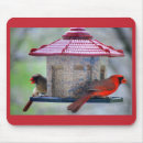 Search for cardinal bird mousepads Cardinals
