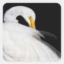 Search for alba stickers Great egret
