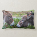 Search for donkey gifts Kids