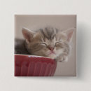Search for sleeps badges Japan