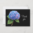Search for hydrangea flowers cards Blank