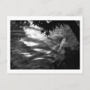 Search for koi postcards Japan
