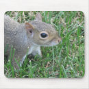 Search for featured mousepads Nature