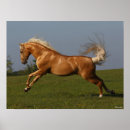 Search for leaping posters Stallion