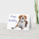 Search for beagle birthday cards Puppy