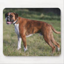 Search for boxer dogs mousepads Red and white