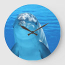Search for dolphin clocks Blue