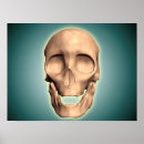 Search for frontal view Headshot