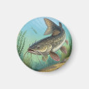 Search for catfishing magnets Animal