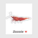 Search for algae stickers Red