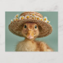 Search for straw postcards Baby