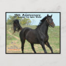 Search for winners postcards Thoroughbred