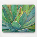 Search for agave electronics Succulent
