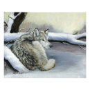 Search for wolf image posters Wildlife