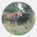 Search for horse and buggy stickers Horses
