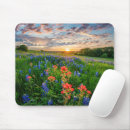 Search for paintbrush mousepads Meadow