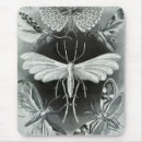 Search for moths mousepads Antique