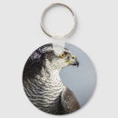 Search for peregrine falcon key rings Falconry