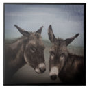 Search for donkey tiles Farm