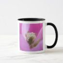 Search for lisse mugs Garden