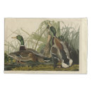 Search for duck pillowcases Illustration