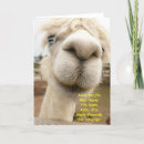 Search for llama birthday cards Farm