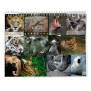 Search for hippo calendars Zebras