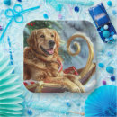 Search for golden retriever christmas plates Animal
