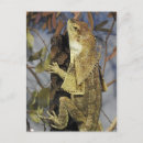 Search for neck postcards Australia