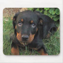 Search for guilty mousepads Dog