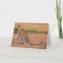 Search for early cards Wildlife