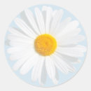 Search for daisy petals stickers White