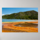 Search for yellowstone national park posters Grand prismatic spring