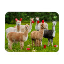 Search for funny beer magnets Adult