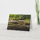 Search for british columbia cards Gordon illg