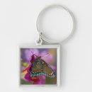 Search for black swallowtail butterfly key rings Blue
