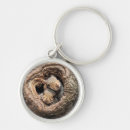 Search for young animal key rings Animals in the wild